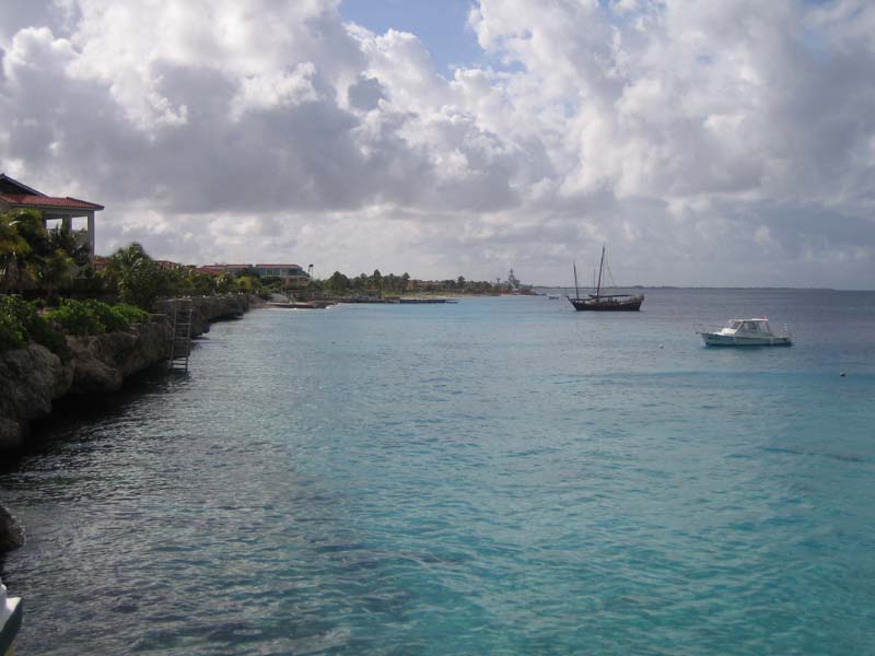 View along coast from Buddy Dive